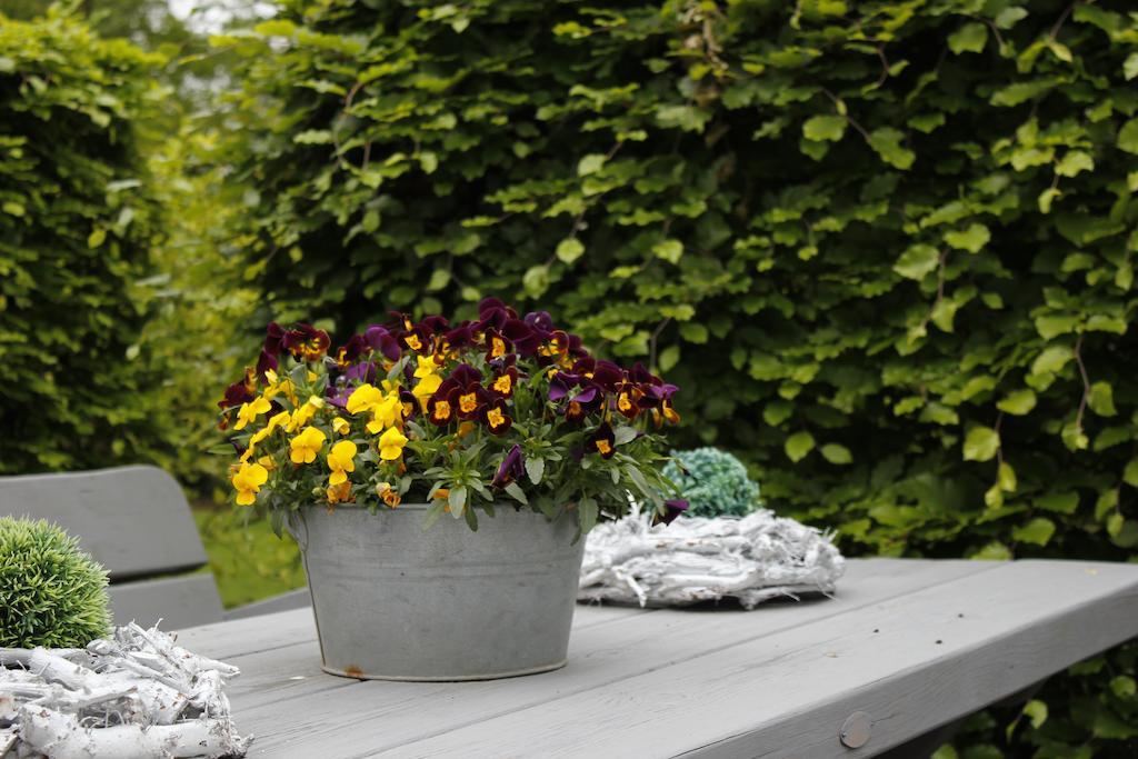 Westdorpe Housing De Brouwerij Bed & Breakfast エクステリア 写真